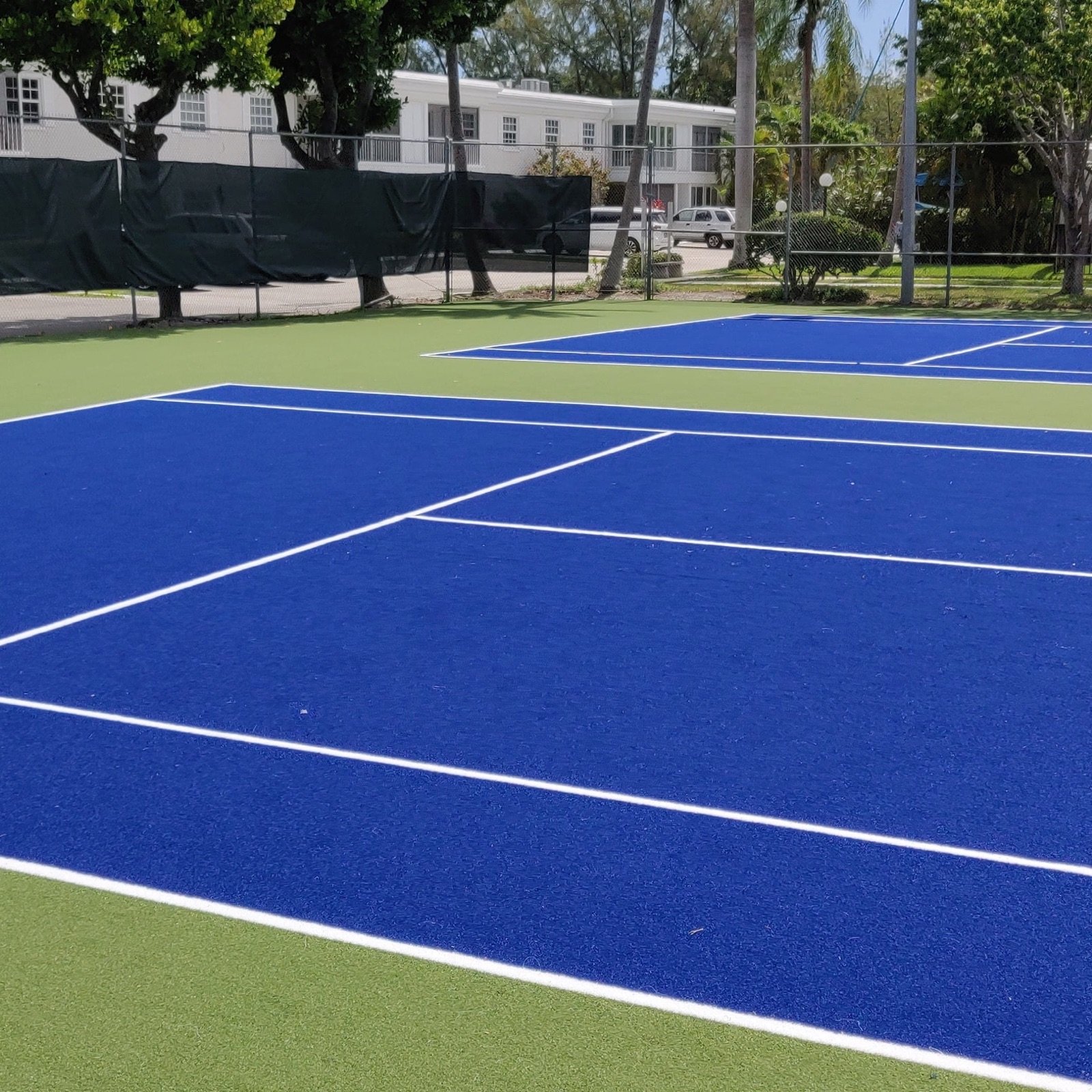 Worldwide Impact: The Use of Synthetic Turf on Sports Fields