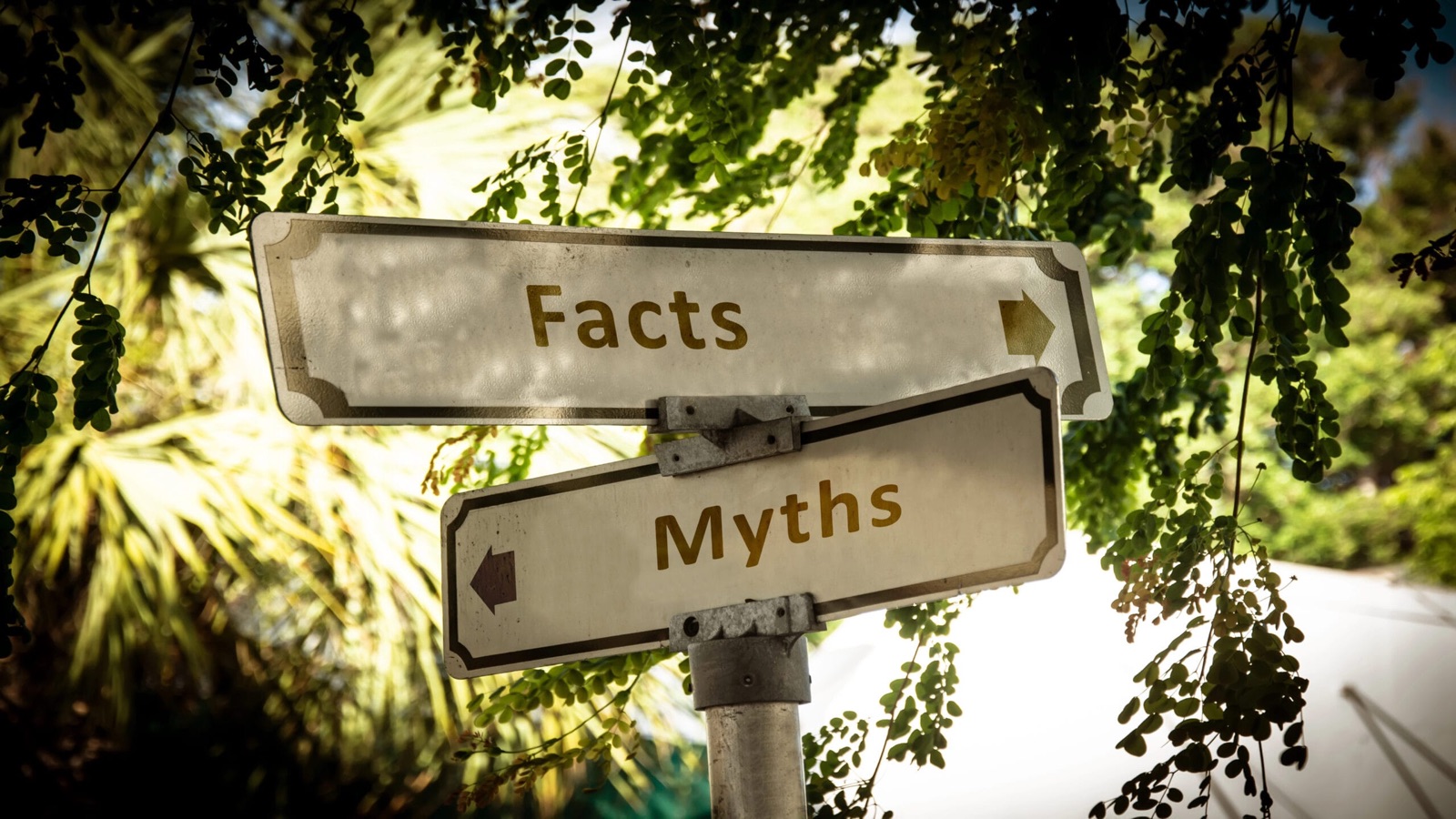 Top 7 Artificial Grass Myths that Are Holding You Back