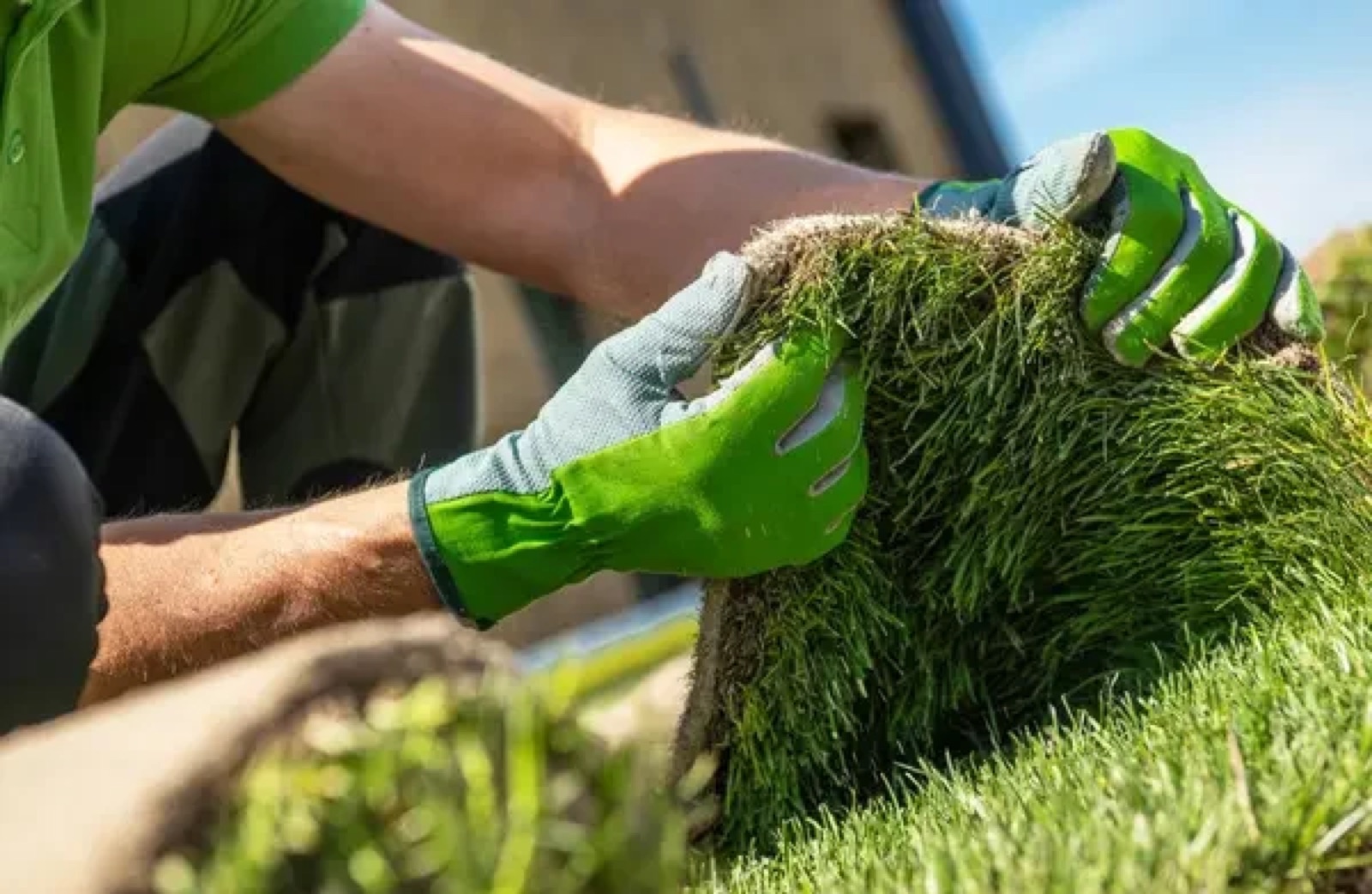 Why Artificial Grass with Drainage Beats Natural Turf