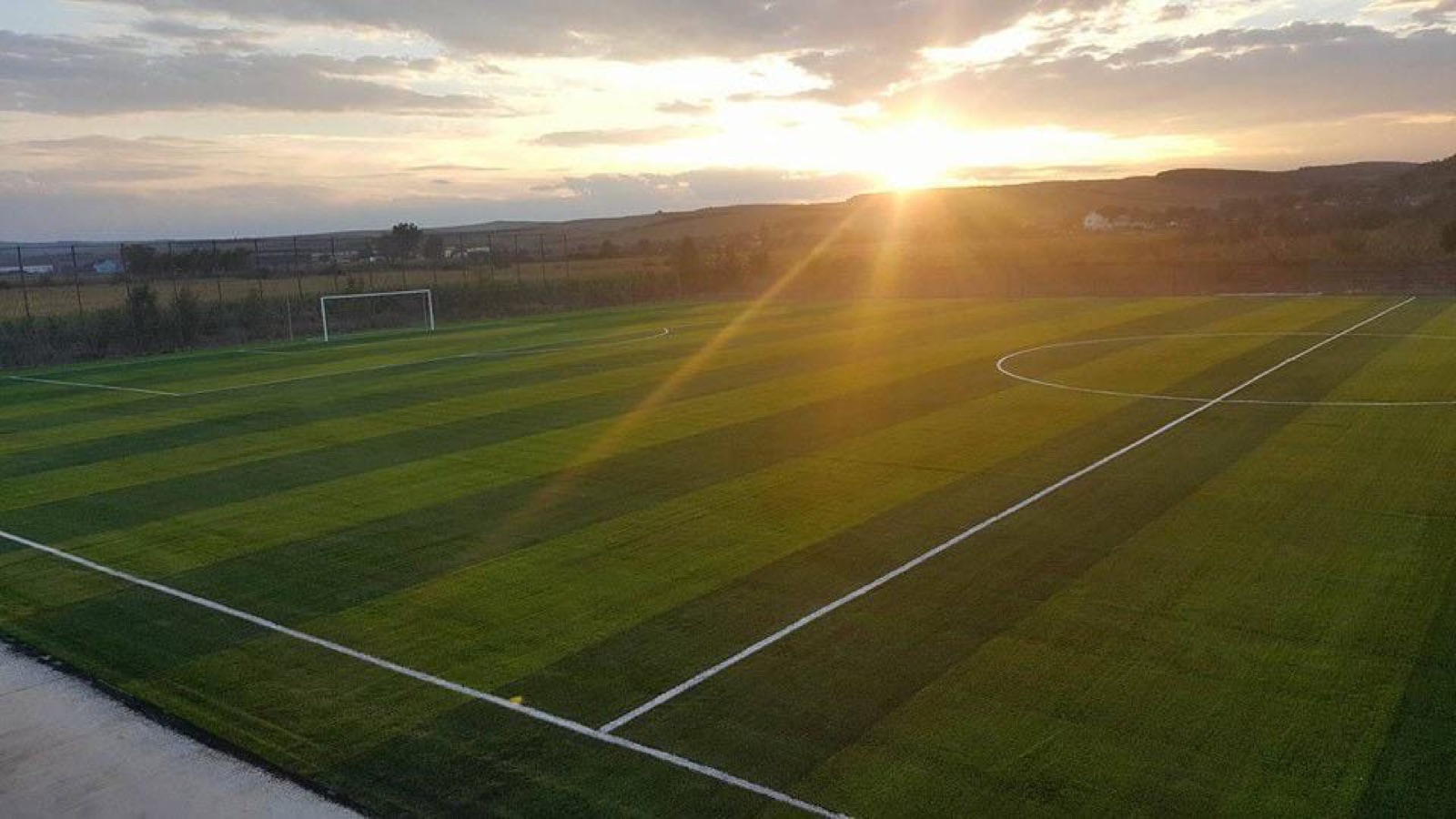 Why Synthetic Sport Surfaces Are Winning