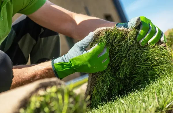 Artificial Grass with Drainage