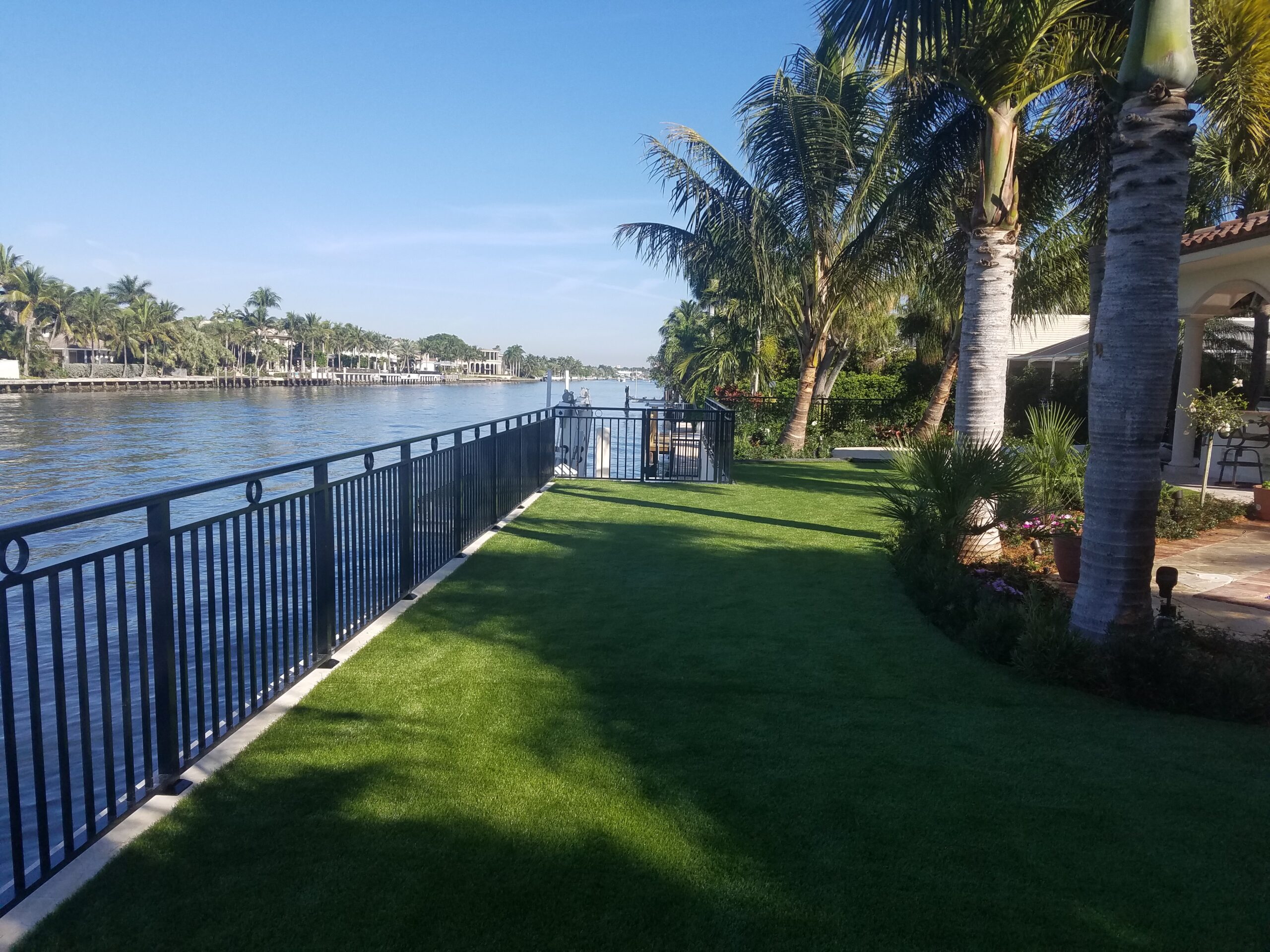 a grass lawn with a railing and palm trees